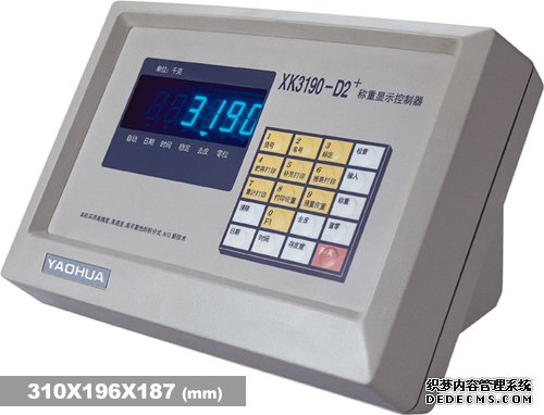 耀華XK3190—D2+稱重儀表